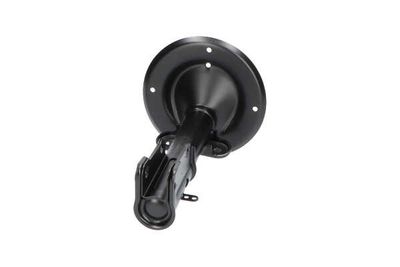 AMORTIZOR Kavo Parts SSA10042 5