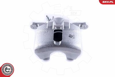 Brake Caliper 55SKV242