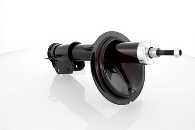 AMORTIZOR GH GH322355 25