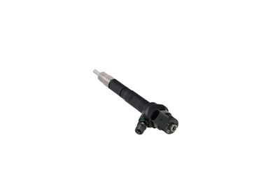 INJECTOR REMANTE 002003001751R 23