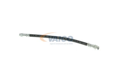 FURTUN FRANA VAICO V460535 14