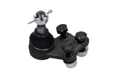 Kavo Parts Šarnyras / girgždukas