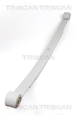 TRISCAN Federnpaket