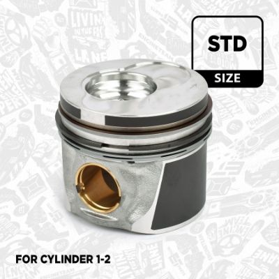 PISTON ET ENGINETEAM PM003200 1