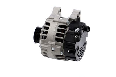 GENERATOR / ALTERNATOR REMANTE 011003000311R 17