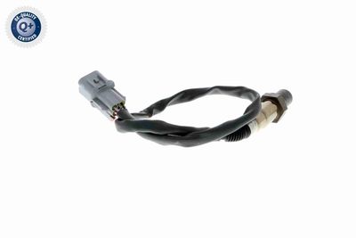 SONDA LAMBDA ACKOJA A53760007 6