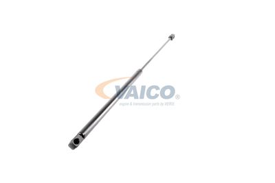 GASFEDER KOFFER-/LADERAUM VAICO V240211 52