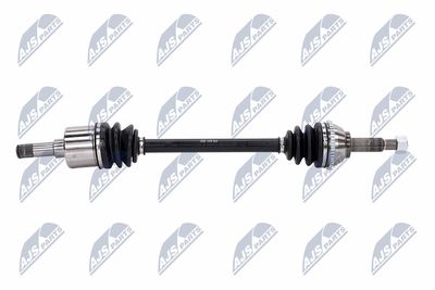 PLANETARA NTY NPWFR031 7