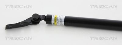 AMORTIZOR PORTBAGAJ KAWE 871068211 1