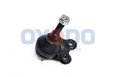 Šarnyras / girgždukas