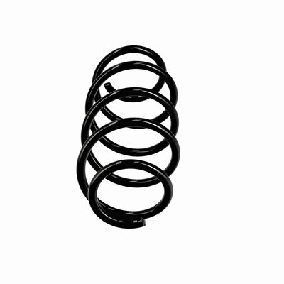 Spiraalveer Voor Links/Rechts past: VW FOX, POLO IV 1.2-1.9D 10.01-12.11