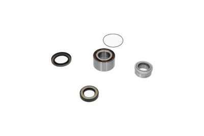 SET RULMENT ROATA Kavo Parts WBK5516 17