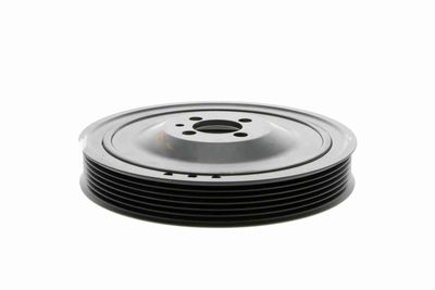 FULIE CUREA ARBORE COTIT VAICO V401481 8