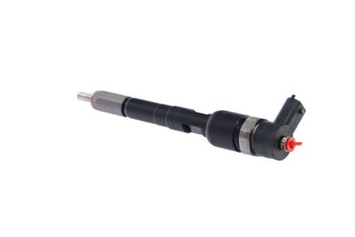 INJECTOR REMANTE 002003001717R 18