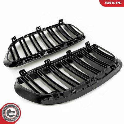 GRILA RADIATOR ESEN SKV 66SKV205 4