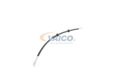 FURTUN FRANA VAICO V104226 44