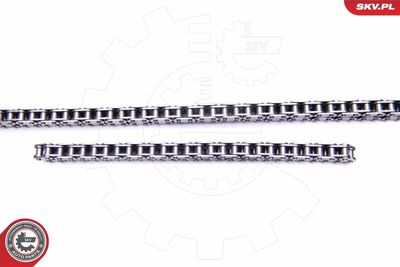 Timing Chain Kit 21SKV209