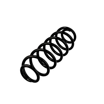 ARC SPIRAL EIBACH R10159 3