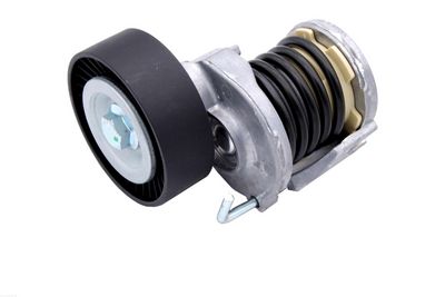 INTINZATOR CUREA CUREA DISTRIBUTIE AUTOMEGA 210156210 1