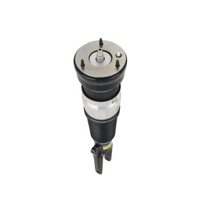 LUFTFEDERBEIN Arnott ASE4027 73