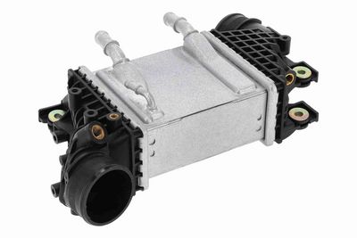 LADELUFTKüHLER VEMO V10600115 2