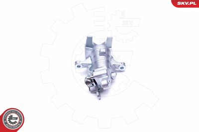 Brake Caliper 42SKV573