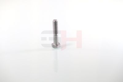 SURUB CAPAT DE AX GH GH392360 18