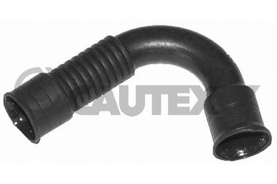 CAUTEX 461393 Трубка, клапан возврата ОГ для VW TOUAREG (CR7)