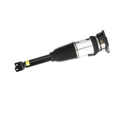 LUFTFEDERBEIN Arnott AS2969 63