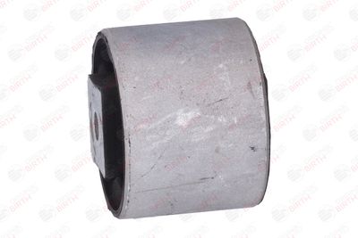 SUPORT MOTOR BIRTH 53418 10