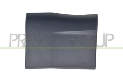 ELEMENTE DECORATIVE/PROTECTIE ARIPA PRASCO AD8201401