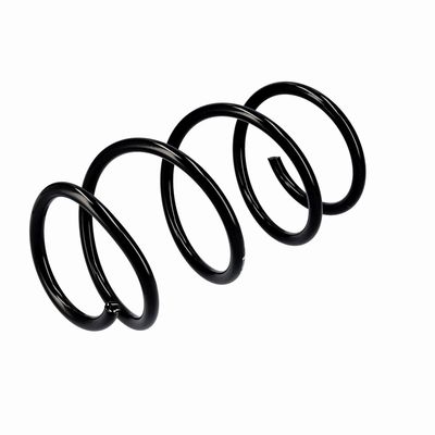 ARC SPIRAL EIBACH R10355 4