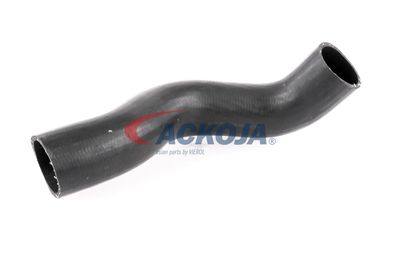 FURTUN EAR SUPRAALIMENTARE ACKOJA A380307 56