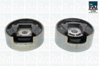 FAI AutoParts Variklio montavimas