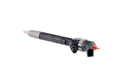 INJECTOR REMANTE 002003001099R 18