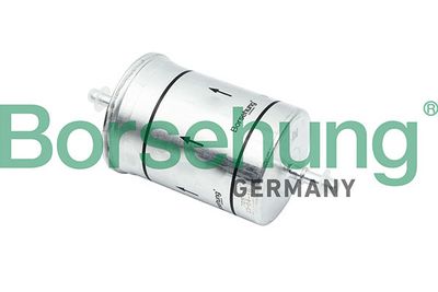 Palivový filter Borsehung B12825