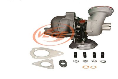 LADER AUFLADUNG VEGE 08881990 4