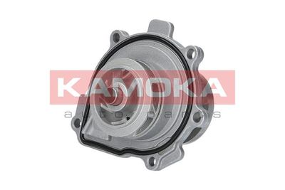 Water Pump, engine cooling T0009