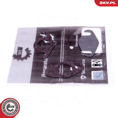 Reparationssats, EGR-ventil ESEN SKV 14SKV558