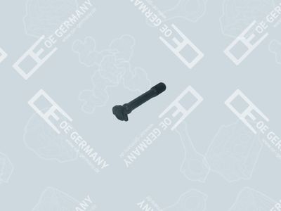 OE Germany 01 0311 300001 OE Germany 01 0311 300001