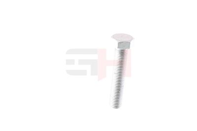 SURUB CAPAT DE AX GH GH392506 27