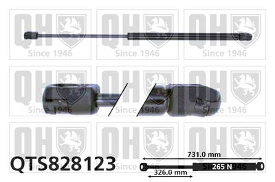 газов амортисьор, капак на двигателя QUINTON HAZELL QTS828123