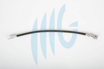 Тормозной шланг RICAMBIFLEX GM 02140384 для FORD MAVERICK