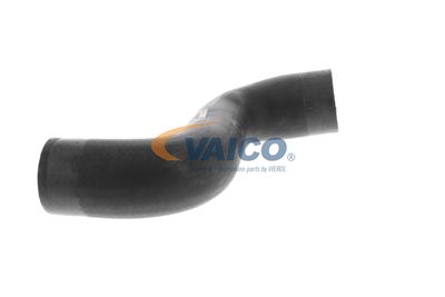 FURTUN EAR SUPRAALIMENTARE VAICO V104668 43