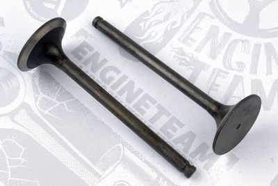Впускной клапан ET ENGINETEAM VI0080 для RENAULT MASTER