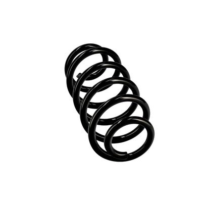 ARC SPIRAL EIBACH R10135 12