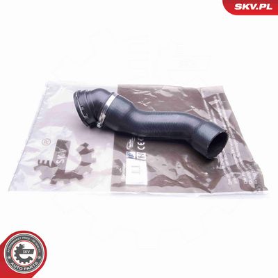 FURTUN EAR SUPRAALIMENTARE