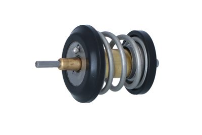 TERMOSTAT LICHID RACIRE NRF 725250 11