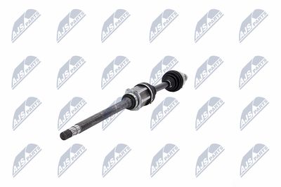 PLANETARA NTY NPWCH040 37