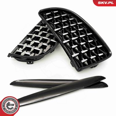 GRILA RADIATOR ESEN SKV 66SKV094 3